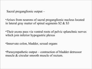 Sacral preganglionic output –
Arises from neurons of sacral preganglionic nucleus located
in lateral gray matter of spinal segments S2 & S3
●

Their axons pass via ventral roots of pelvic splanchnic nerves
which join inferior hypogastric plexus
●

Innervate colon, bladder, sexual organs

●

Parasympathetic output – contraction of bladder detrussor
muscle & circular smooth muscle of rectum.
●

 