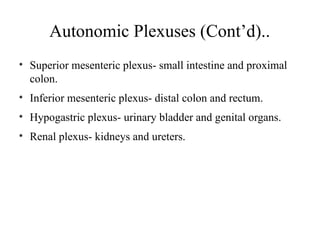 3

Autonomic Plexuses (Cont’d)..
• Superior mesenteric plexus- small intestine and proximal
colon.
• Inferior mesenteric plexus- distal colon and rectum.
• Hypogastric plexus- urinary bladder and genital organs.
• Renal plexus- kidneys and ureters.

 