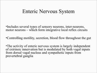 Enteric Nervous System
Includes several types of sensory neurons, inter-neurons,
motor neurons – which form integrative local reflex circuits
●

Controlling motility, secretion, blood flow throughout the gut

●

The activity of enteric nervous system is largely independent
of extrinsic innervation but is modulated by both vagal inputs
from dorsal vagal nucleus and sympathetic inputs from
prevertebral ganglia
●

 