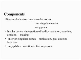 Components
Telencephalic structures –insular cortex
ant cingulate cortex
Amygdala
●
Insular cortex - integration of bodily sensation, emotion,
decision making
●
anterior cingulate cortex – motivation, goal directed
behavior
●
amygdala – conditioned fear responses
●

 