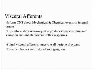 Visceral Afferents
Inform CNS about Mechanical & Chemical events in internal
organs
●
This information is conveyed to produce conscious visceral
sensation and initiate visceral reflex responses
●

Spinal visceral afferents innervate all peripheral organs
●
Their cell bodies are in dorsal root ganglion
●

 