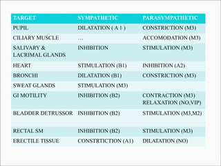 TARGET

SYMPATHETIC

PARASYMPATHETIC

PUPIL

DILATATION ( A 1 )

CONSTRICTION (M3)

CILIARY MUSCLE

…

ACCOMODATION (M3)

SALIVARY &
LACRIMAL GLANDS

INHIBITION

STIMULATION (M3)

HEART

STIMULATION (B1)

INHIBITION (A2)

BRONCHI

DILATATION (B1)

CONSTRICTION (M3)

SWEAT GLANDS

STIMULATION (M3)

GI MOTILITY

INHIBITION (B2)

CONTRACTION (M3)
RELAXATION (NO,VIP)

BLADDER DETRUSSOR INHIBITION (B2)

STIMULATION (M3,M2)

RECTAL SM

INHIBITION (B2)

STIMULATION (M3)

ERECTILE TISSUE

CONSTRTICTION (A1)

DILATATION (NO)

 