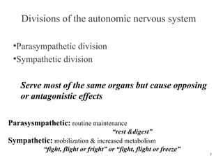 Divisions of the autonomic nervous system
Parasympathetic division
●
Sympathetic division
●

Serve most of the same organs but cause opposing
or antagonistic effects
Parasysmpathetic: routine maintenance
“rest &digest”
Sympathetic: mobilization & increased metabolism
“fight, flight or fright” or “fight, flight or freeze”

5

 