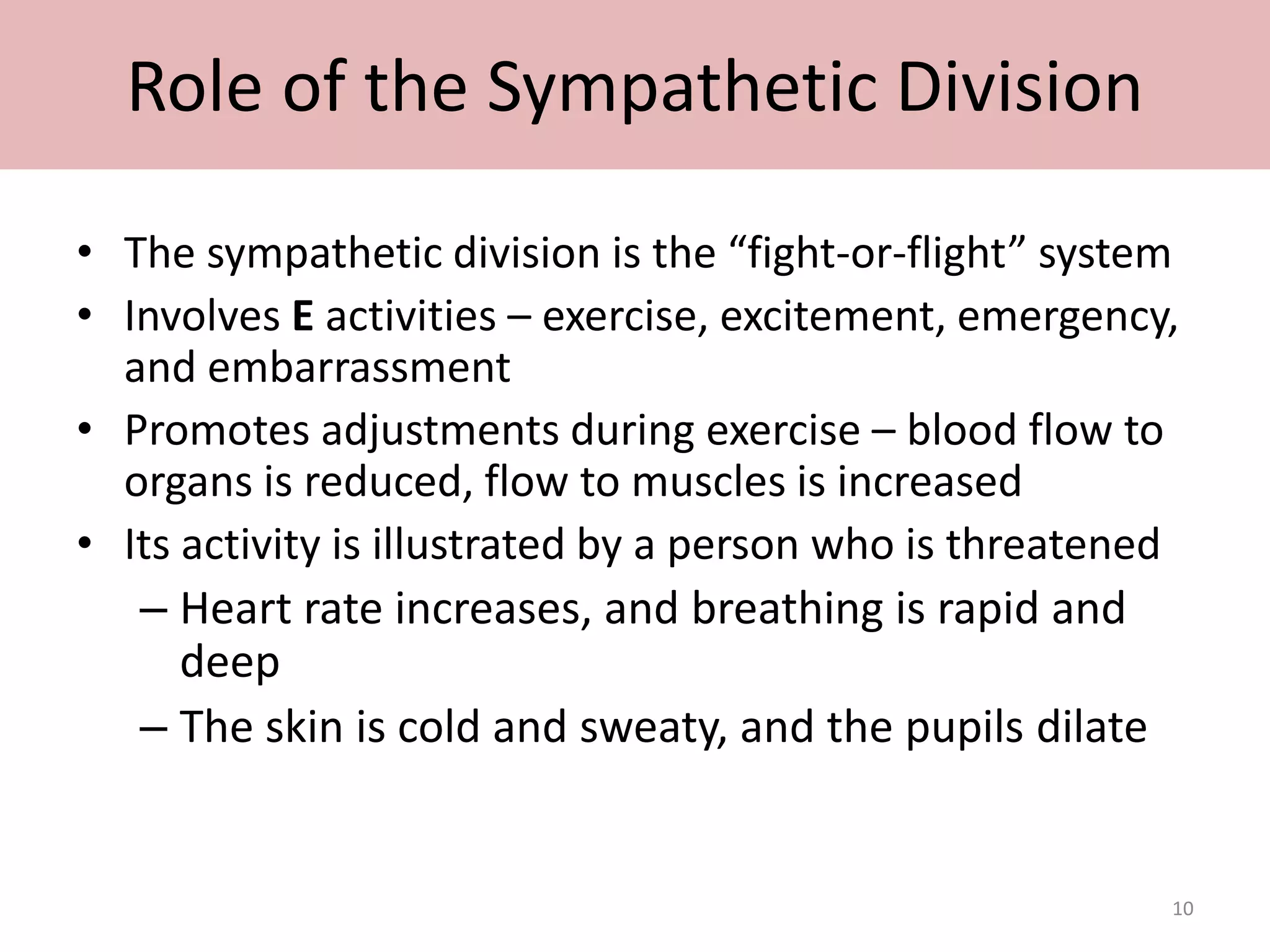 Role of the Sympathetic Division 
• The sympathetic division is the “fight-or-flight” system 
• Involves E activities – exercise, excitement, emergency, 
and embarrassment 
• Promotes adjustments during exercise – blood flow to 
organs is reduced, flow to muscles is increased 
• Its activity is illustrated by a person who is threatened 
– Heart rate increases, and breathing is rapid and 
deep 
– The skin is cold and sweaty, and the pupils dilate 
10 
 