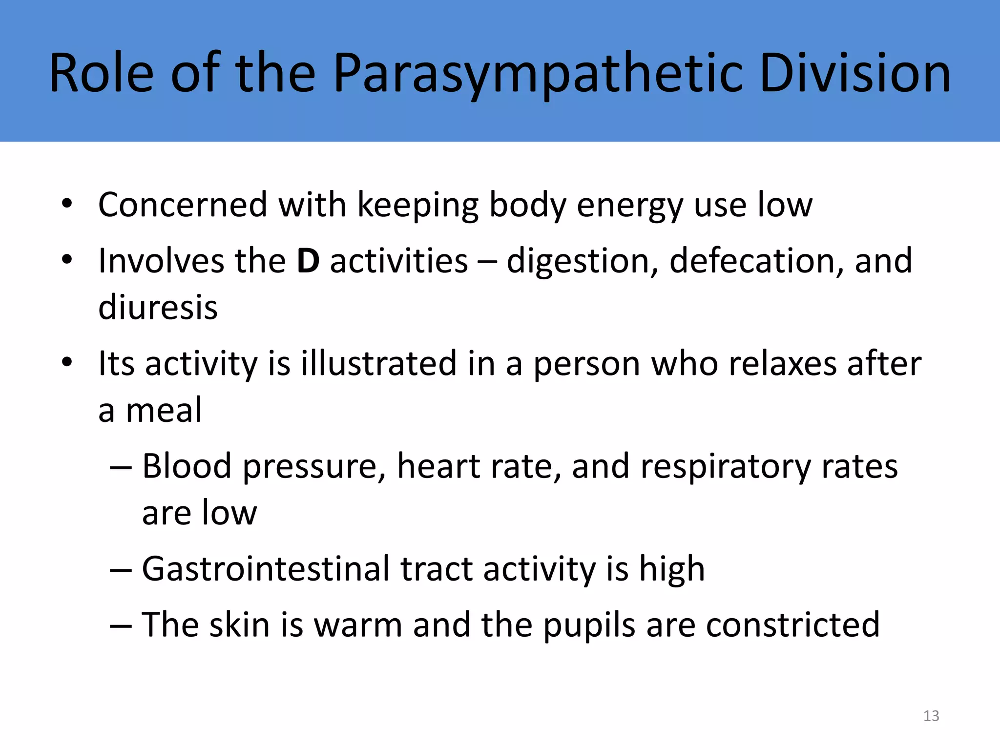 Role of the Parasympathetic Division 
• Concerned with keeping body energy use low 
• Involves the D activities – digestion, defecation, and 
diuresis 
• Its activity is illustrated in a person who relaxes after 
a meal 
– Blood pressure, heart rate, and respiratory rates 
are low 
– Gastrointestinal tract activity is high 
– The skin is warm and the pupils are constricted 
13 
 