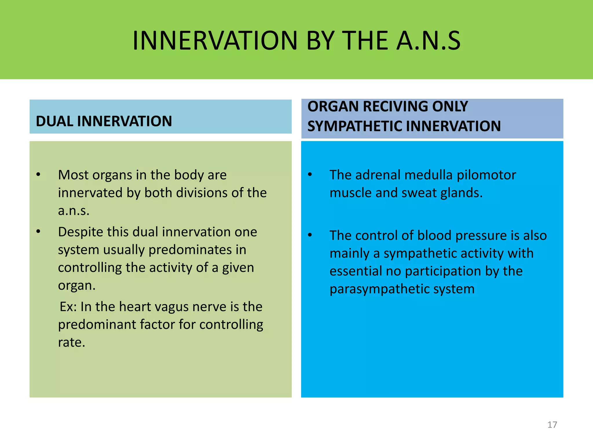 INNERVATION BY THE A.N.S 
DUAL INNERVATION 
• Most organs in the body are 
innervated by both divisions of the 
a.n.s. 
• Despite this dual innervation one 
system usually predominates in 
controlling the activity of a given 
organ. 
Ex: In the heart vagus nerve is the 
predominant factor for controlling 
rate. 
ORGAN RECIVING ONLY 
SYMPATHETIC INNERVATION 
• The adrenal medulla pilomotor 
muscle and sweat glands. 
• The control of blood pressure is also 
mainly a sympathetic activity with 
essential no participation by the 
parasympathetic system 
17 
 