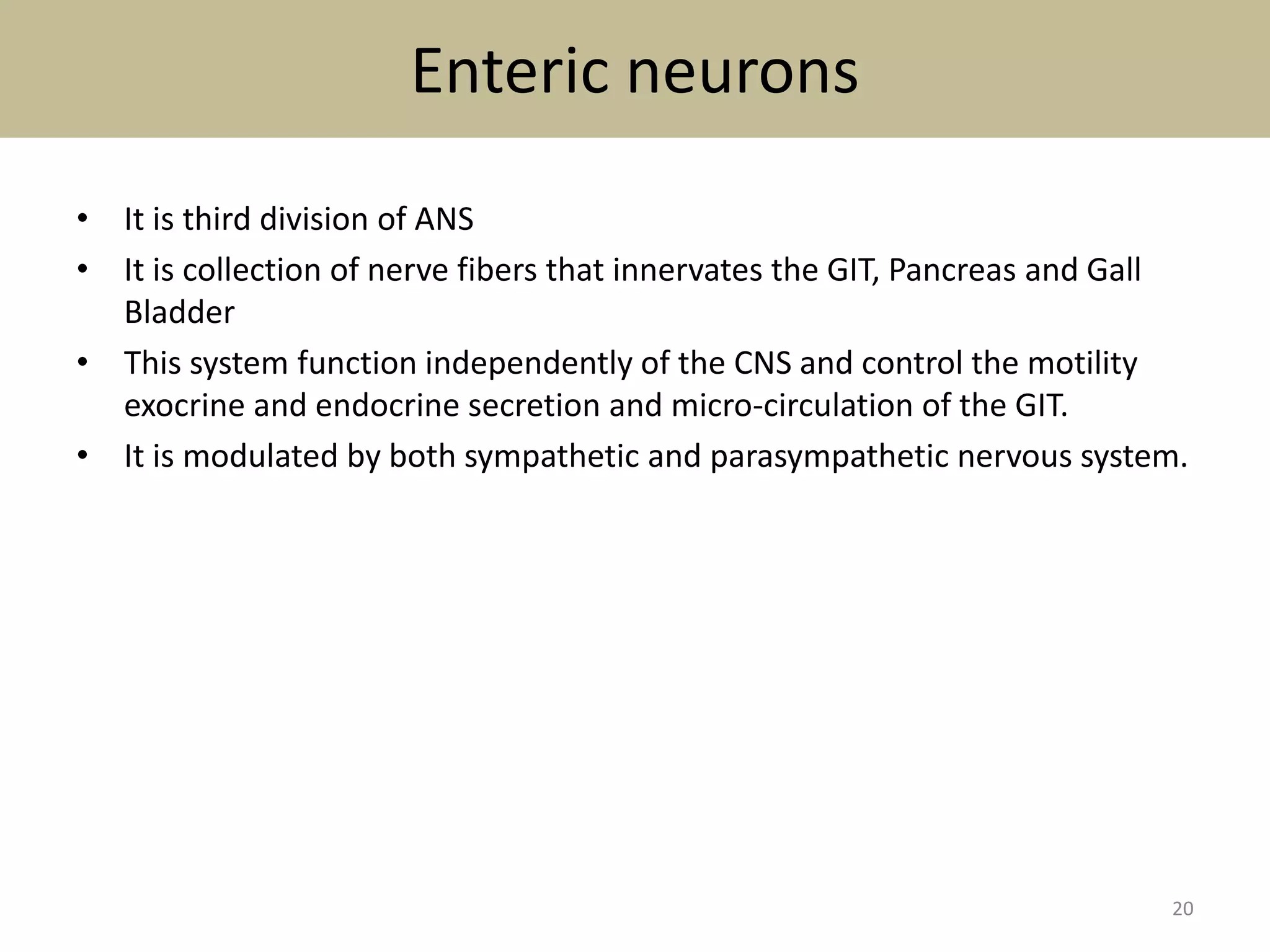 Enteric neurons 
• It is third division of ANS 
• It is collection of nerve fibers that innervates the GIT, Pancreas and Gall 
Bladder 
• This system function independently of the CNS and control the motility 
exocrine and endocrine secretion and micro-circulation of the GIT. 
• It is modulated by both sympathetic and parasympathetic nervous system. 
20 
 