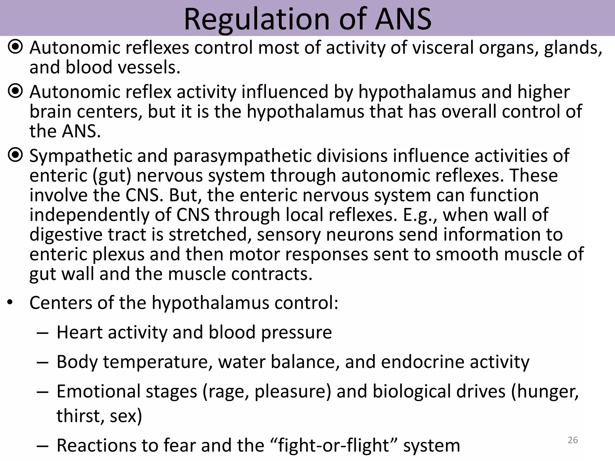 Regulation of ANS 
 Autonomic reflexes control most of activity of visceral organs, glands, 
and blood vessels. 
 Autonomic reflex activity influenced by hypothalamus and higher 
brain centers, but it is the hypothalamus that has overall control of 
the ANS. 
 Sympathetic and parasympathetic divisions influence activities of 
enteric (gut) nervous system through autonomic reflexes. These 
involve the CNS. But, the enteric nervous system can function 
independently of CNS through local reflexes. E.g., when wall of 
digestive tract is stretched, sensory neurons send information to 
enteric plexus and then motor responses sent to smooth muscle of 
gut wall and the muscle contracts. 
• Centers of the hypothalamus control: 
– Heart activity and blood pressure 
– Body temperature, water balance, and endocrine activity 
– Emotional stages (rage, pleasure) and biological drives (hunger, 
thirst, sex) 
– Reactions to fear and the “fight-or-flight” system 26 
 