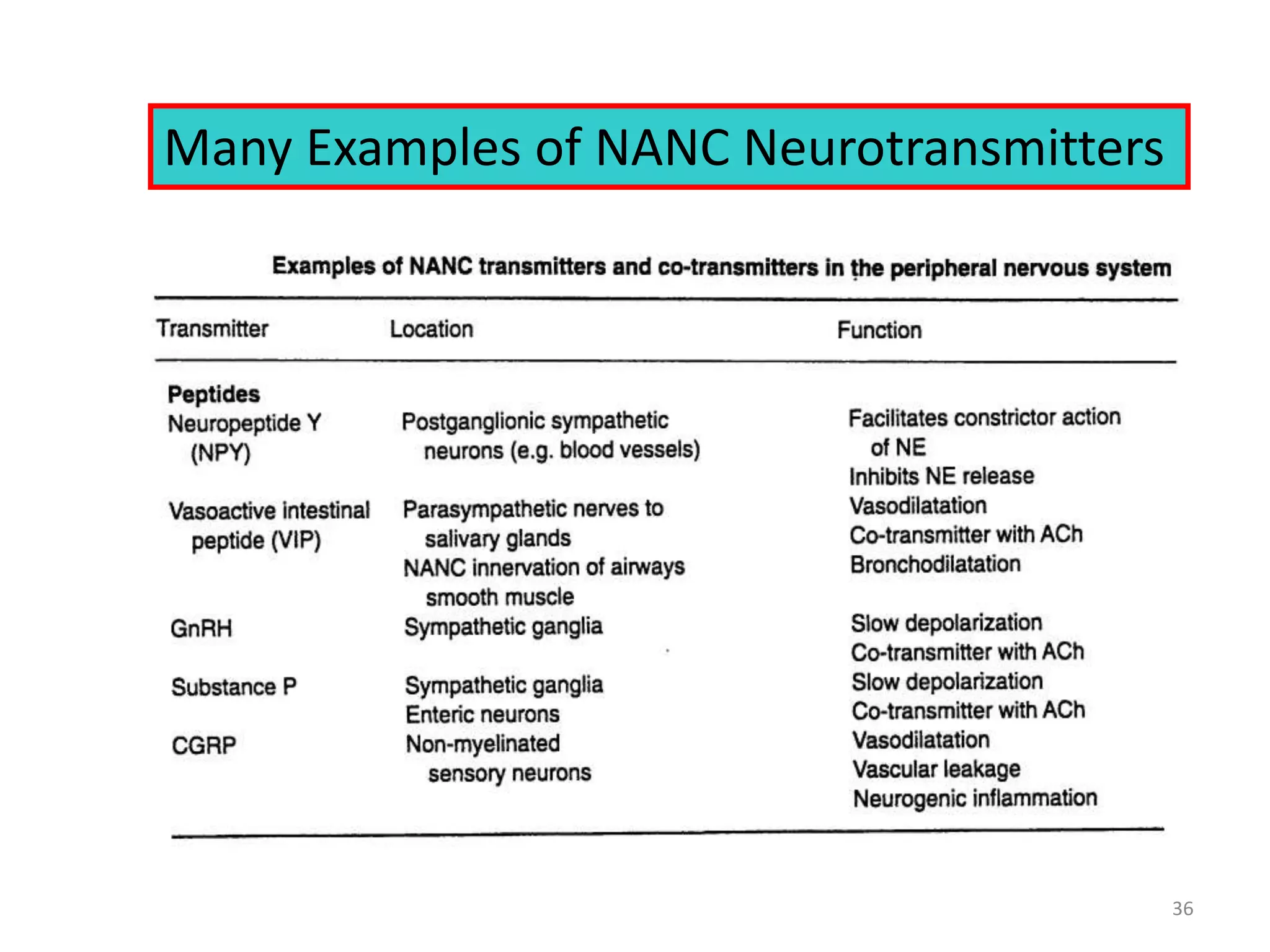 Many Examples of NANC Neurotransmitters 
36 
 