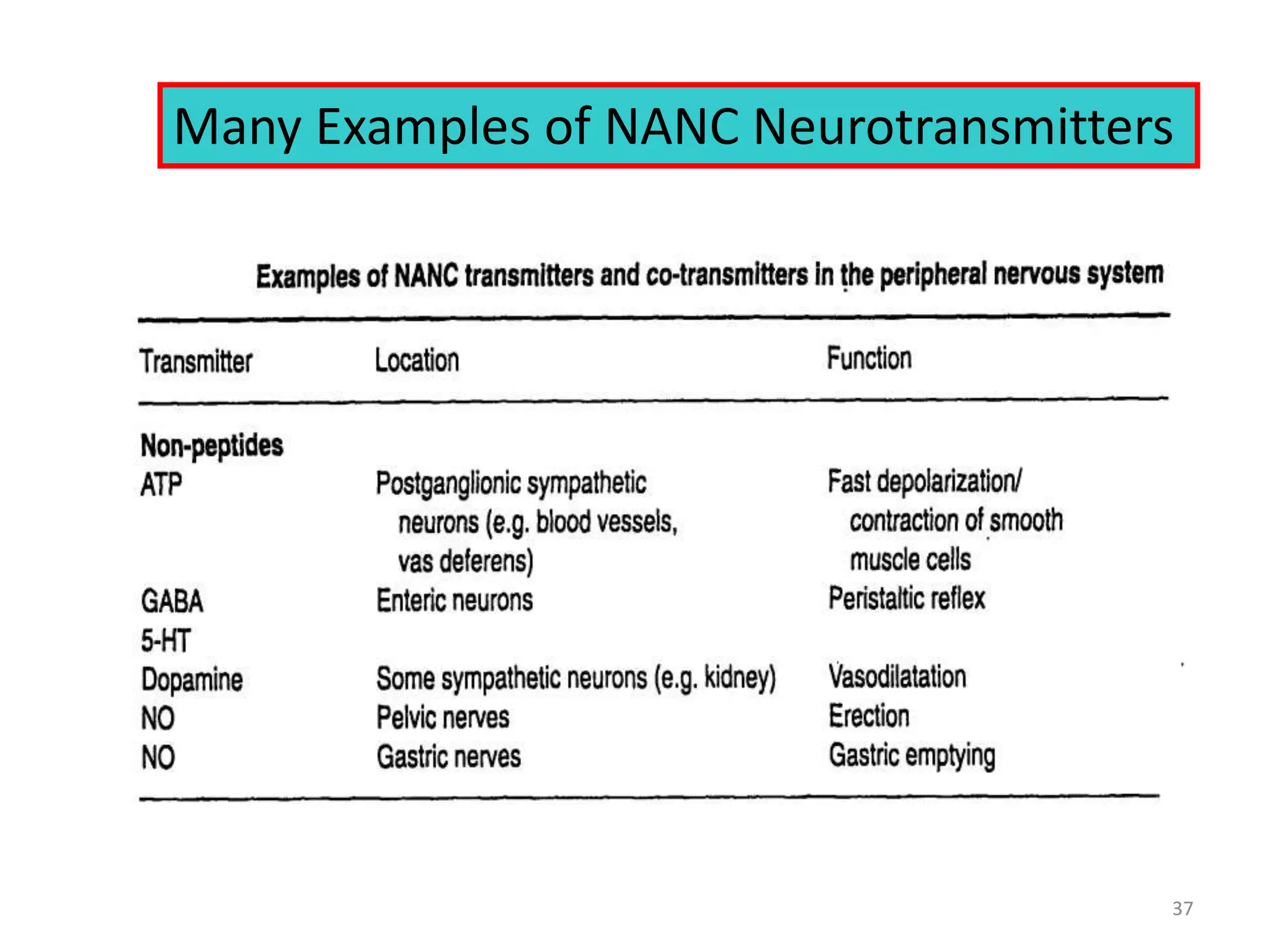 Many Examples of NANC Neurotransmitters 
37 
 