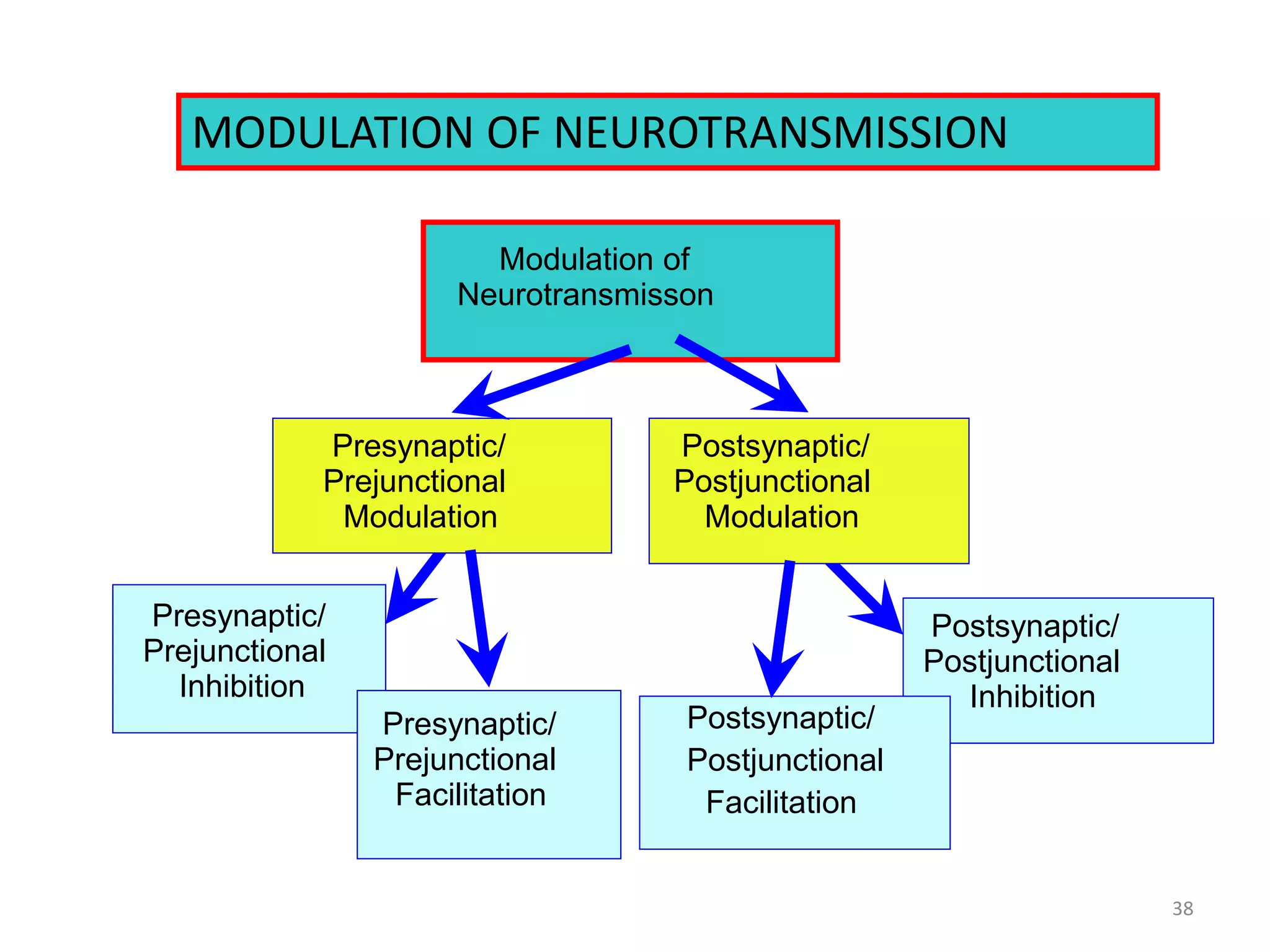 MODULATION OF NEUROTRANSMISSION 
Modulation of 
Neurotransmisson 
Presynaptic/ 
Prejunctional 
Modulation 
Postsynaptic/ 
Postjunctional 
Modulation 
Presynaptic/ 
Prejunctional 
Inhibition 
Presynaptic/ 
Prejunctional 
Facilitation 
Postsynaptic/ 
Postjunctional 
Inhibition 
Postsynaptic/ 
Postjunctional 
Facilitation 
38 
 