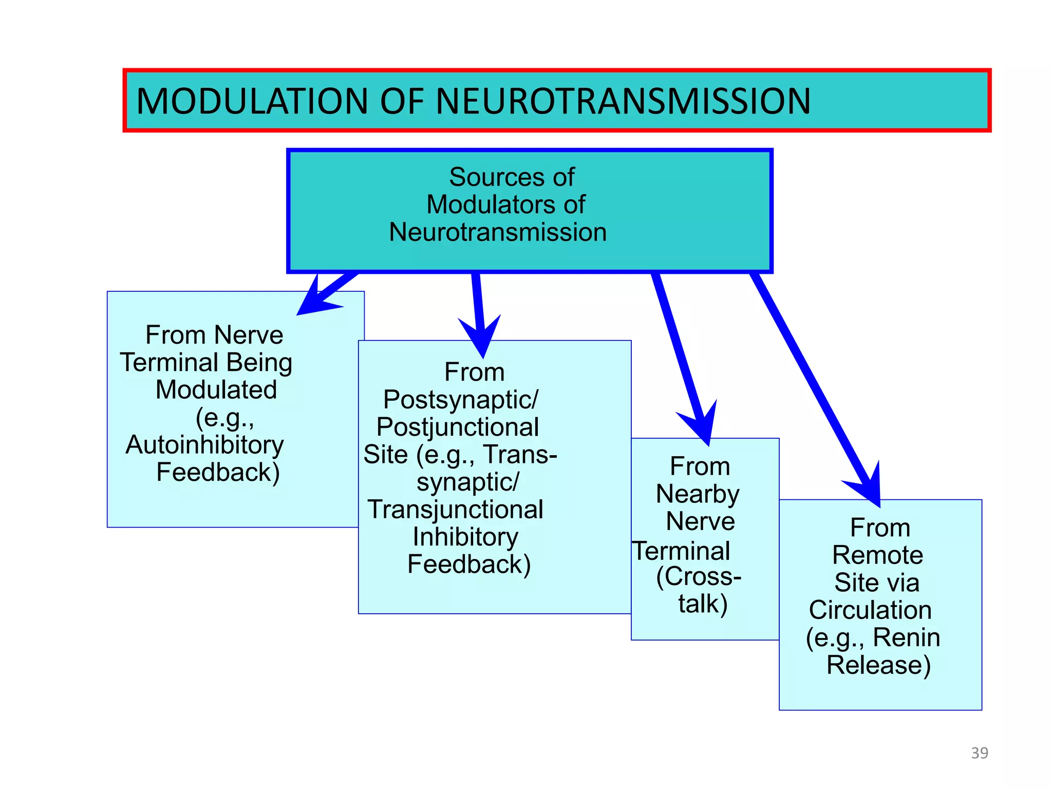 MODULATION OF NEUROTRANSMISSION 
From Nerve 
Terminal Being 
Modulated 
(e.g., 
Autoinhibitory 
Feedback) 
From 
Postsynaptic/ 
Postjunctional 
Site (e.g., Trans-synaptic/ 
Transjunctional 
Inhibitory 
Feedback) 
From 
Nearby 
Nerve 
Terminal 
(Cross-talk) 
From 
Remote 
Site via 
Circulation 
(e.g., Renin 
Release) 
Sources of 
Modulators of 
Neurotransmission 
39 
 
