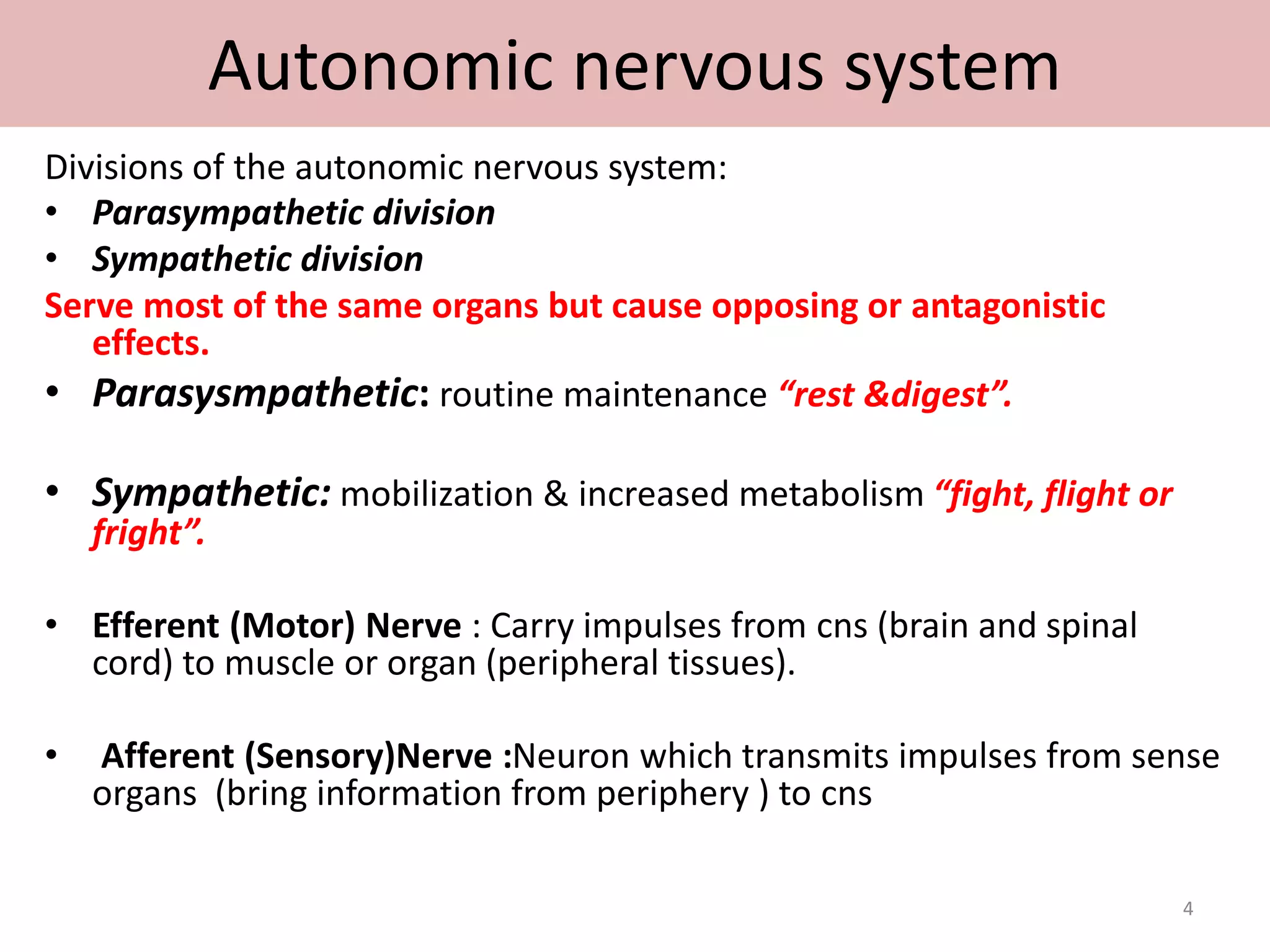 Autonomic nervous system 
Divisions of the autonomic nervous system: 
• Parasympathetic division 
• Sympathetic division 
Serve most of the same organs but cause opposing or antagonistic 
effects. 
• Parasysmpathetic: routine maintenance “rest &digest”. 
• Sympathetic: mobilization & increased metabolism “fight, flight or 
fright”. 
• Efferent (Motor) Nerve : Carry impulses from cns (brain and spinal 
cord) to muscle or organ (peripheral tissues). 
• Afferent (Sensory)Nerve :Neuron which transmits impulses from sense 
organs (bring information from periphery ) to cns 
4 
 