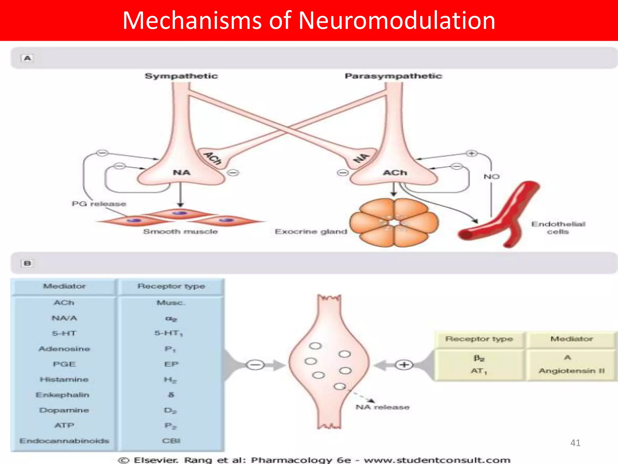 Mechanisms of Neuromodulation 
41 
 