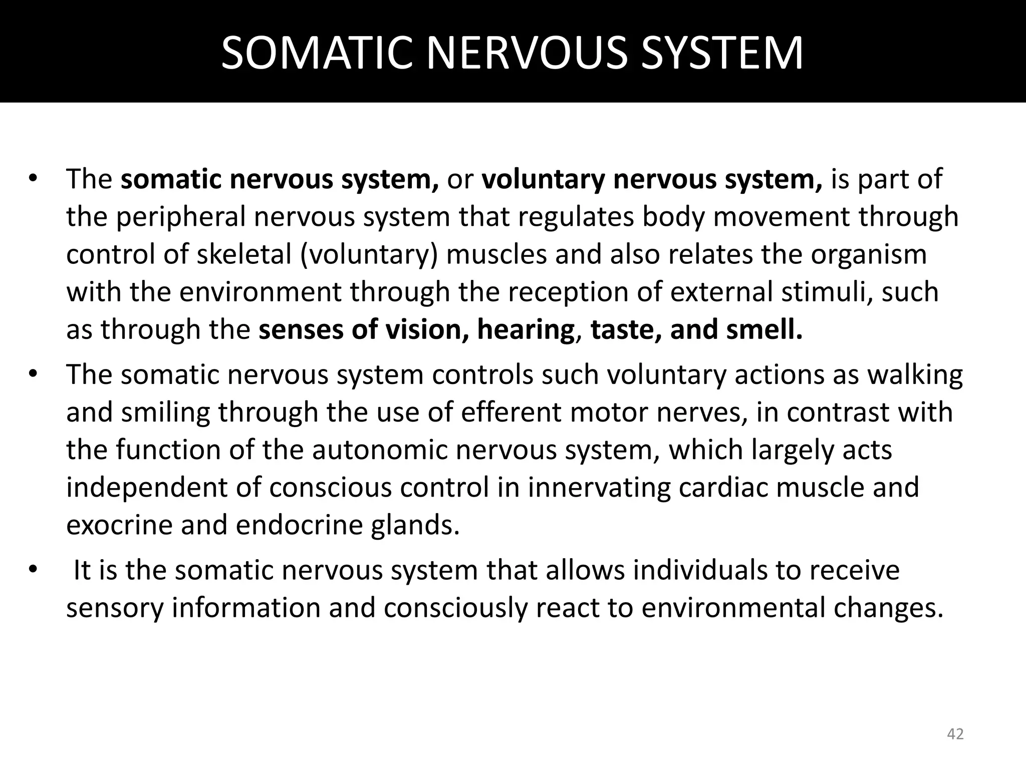 SOMATIC NERVOUS SYSTEM 
• The somatic nervous system, or voluntary nervous system, is part of 
the peripheral nervous system that regulates body movement through 
control of skeletal (voluntary) muscles and also relates the organism 
with the environment through the reception of external stimuli, such 
as through the senses of vision, hearing, taste, and smell. 
• The somatic nervous system controls such voluntary actions as walking 
and smiling through the use of efferent motor nerves, in contrast with 
the function of the autonomic nervous system, which largely acts 
independent of conscious control in innervating cardiac muscle and 
exocrine and endocrine glands. 
• It is the somatic nervous system that allows individuals to receive 
sensory information and consciously react to environmental changes. 
42 
 