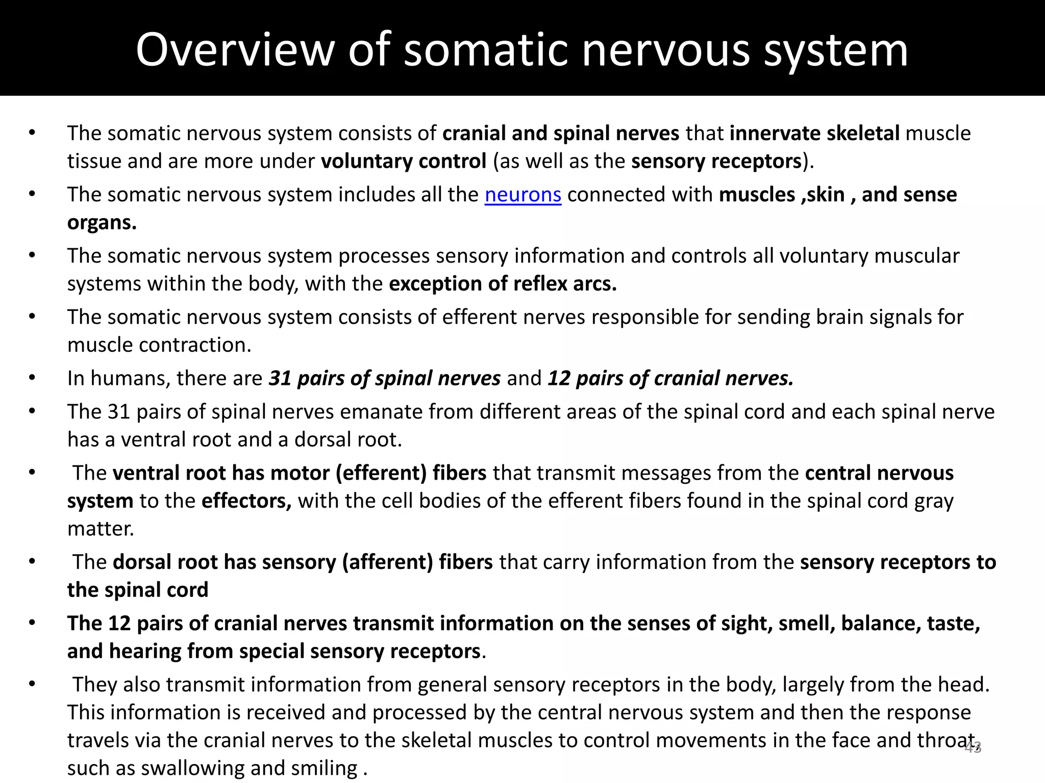 Overview of somatic nervous system 
• The somatic nervous system consists of cranial and spinal nerves that innervate skeletal muscle 
tissue and are more under voluntary control (as well as the sensory receptors). 
• The somatic nervous system includes all the neurons connected with muscles ,skin , and sense 
organs. 
• The somatic nervous system processes sensory information and controls all voluntary muscular 
systems within the body, with the exception of reflex arcs. 
• The somatic nervous system consists of efferent nerves responsible for sending brain signals for 
muscle contraction. 
• In humans, there are 31 pairs of spinal nerves and 12 pairs of cranial nerves. 
• The 31 pairs of spinal nerves emanate from different areas of the spinal cord and each spinal nerve 
has a ventral root and a dorsal root. 
• The ventral root has motor (efferent) fibers that transmit messages from the central nervous 
system to the effectors, with the cell bodies of the efferent fibers found in the spinal cord gray 
matter. 
• The dorsal root has sensory (afferent) fibers that carry information from the sensory receptors to 
the spinal cord 
• The 12 pairs of cranial nerves transmit information on the senses of sight, smell, balance, taste, 
and hearing from special sensory receptors. 
• They also transmit information from general sensory receptors in the body, largely from the head. 
This information is received and processed by the central nervous system and then the response 
travels via the cranial nerves to the skeletal muscles to control movements in the face and throat, 
such as swallowing and smiling . 
43 
 