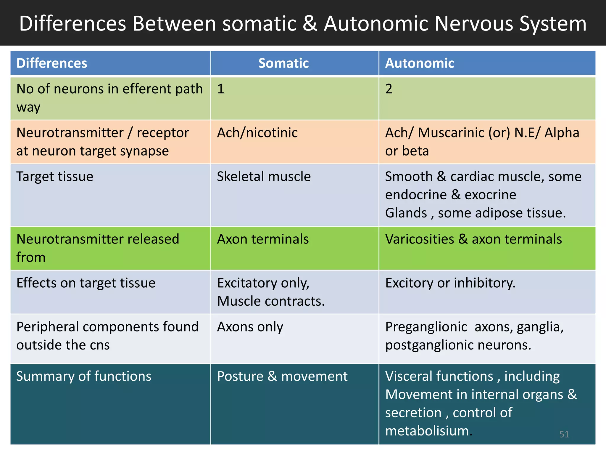 Differences Between somatic & Autonomic Nervous System 
Differences Somatic Autonomic 
No of neurons in efferent path 
1 2 
way 
Neurotransmitter / receptor 
at neuron target synapse 
Ach/nicotinic Ach/ Muscarinic (or) N.E/ Alpha 
or beta 
Target tissue Skeletal muscle Smooth & cardiac muscle, some 
endocrine & exocrine 
Glands , some adipose tissue. 
Neurotransmitter released 
from 
Axon terminals Varicosities & axon terminals 
Effects on target tissue Excitatory only, 
Muscle contracts. 
Excitory or inhibitory. 
Peripheral components found 
outside the cns 
Axons only Preganglionic axons, ganglia, 
postganglionic neurons. 
Summary of functions Posture & movement Visceral functions , including 
Movement in internal organs & 
secretion , control of 
metabolisium. 51 
 