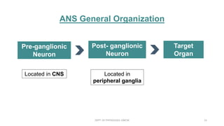 ANS General Organization
Pre-ganglionic
Neuron
Post- ganglionic
Neuron
Target
Organ
Located in CNS Located in
peripheral ganglia
DEPT. OF PHYSIOLOGY, GMCM 15
 