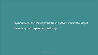 Sympathetic and Parasympathetic system innervate target
tissues by two synapse pathway.
DEPT. OF PHYSIOLOGY, GMCM 16
 