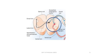 DEPT. OF PHYSIOLOGY, GMCM 21
 