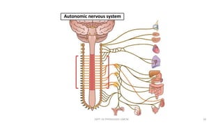 DEPT. OF PHYSIOLOGY, GMCM 28
 