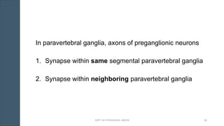 In paravertebral ganglia, axons of preganglionic neurons
1. Synapse within same segmental paravertebral ganglia
2. Synapse within neighboring paravertebral ganglia
DEPT. OF PHYSIOLOGY, GMCM 30
 
