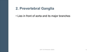 2. Prevertebral Ganglia
• Lies in front of aorta and its major branches
DEPT. OF PHYSIOLOGY, GMCM 31
 
