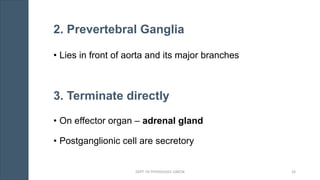 2. Prevertebral Ganglia
• Lies in front of aorta and its major branches
3. Terminate directly
• On effector organ – adrenal gland
• Postganglionic cell are secretory
DEPT. OF PHYSIOLOGY, GMCM 33
 