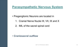 Parasympathetic Nervous System
• Preganglionic Neurons are located in
1. Cranial Nerve Nuclei III, VII, IX and X
2. IML of the sacral spinal cord
• Craniosacral outflow
DEPT. OF PHYSIOLOGY, GMCM 39
 