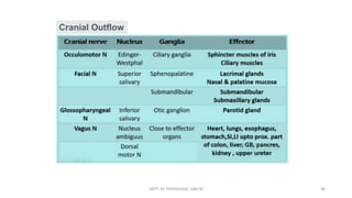 Cranial Outflow
DEPT. OF PHYSIOLOGY, GMCM 40
 