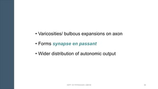 • Varicosities/ bulbous expansions on axon
• Forms synapse en passant
• Wider distribution of autonomic output
DEPT. OF PHYSIOLOGY, GMCM 46
 