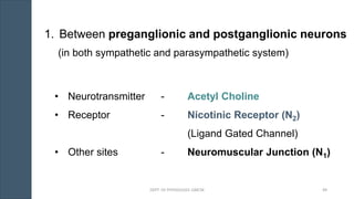 1. Between preganglionic and postganglionic neurons
(in both sympathetic and parasympathetic system)
• Neurotransmitter - Acetyl Choline
• Receptor - Nicotinic Receptor (N2)
(Ligand Gated Channel)
• Other sites - Neuromuscular Junction (N1)
DEPT. OF PHYSIOLOGY, GMCM 49
 