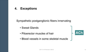 4. Exceptions
Sympathetic postganglionic fibers innervating
• Sweat Glands
• Piloerector muscles of hair
• Blood vessels in some skeletal muscle
ACh
DEPT. OF PHYSIOLOGY, GMCM 54
 