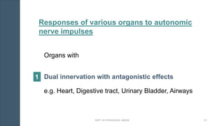 Organs with
Dual innervation with antagonistic effects
e.g. Heart, Digestive tract, Urinary Bladder, Airways
Responses of various organs to autonomic
nerve impulses
1
DEPT. OF PHYSIOLOGY, GMCM 57
 