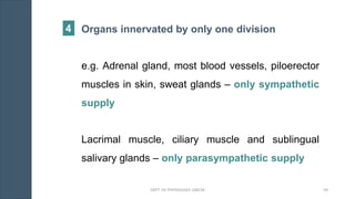 Organs innervated by only one division
e.g. Adrenal gland, most blood vessels, piloerector
muscles in skin, sweat glands – only sympathetic
supply
Lacrimal muscle, ciliary muscle and sublingual
salivary glands – only parasympathetic supply
4
DEPT. OF PHYSIOLOGY, GMCM 59
 