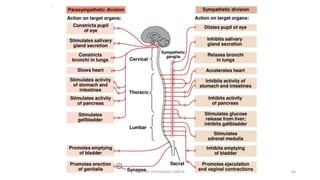 DEPT. OF PHYSIOLOGY, GMCM 63
 
