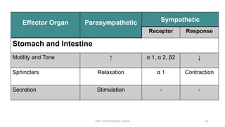 Effector Organ Parasympathetic Sympathetic
Receptor Response
Stomach and Intestine
Motility and Tone ↑ α 1, α 2, β2 ↓
Sphincters Relaxation α 1 Contraction
Secretion Stimulation - -
DEPT. OF PHYSIOLOGY, GMCM 66
 