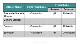 Effector Organ Parasympathetic
Sympathetic
Receptor Response
Bronchial Smooth
Muscle
Contraction β2 Relaxation
Urinary Bladder
Detrusor Contraction β2 Relaxation
Sphincter Relaxation α1 Contraction
DEPT. OF PHYSIOLOGY, GMCM 67
 