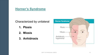 Horner’s Syndrome
Characterized by unilateral
1. Ptosis
2. Miosis
3. Anhidrosis
DEPT. OF PHYSIOLOGY, GMCM 74
 