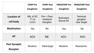 SYMP Pre
Ganglionic
SYMP Post
Ganglionic
PARASYMP Pre
Ganglionic
PARASYMP Post
Ganglionic
Location of
cell body
Myelination
NT
Post Synaptic
Receptor
IML of SC
T1 to
L3/L4
Pre + Para
Vertebral
Ganglion
Brainstem
Sacral SC
Terminal
ganglion
near target
Yes Yes
No No
ACh ACh ACh
NE
Nicotinic Nicotinic
Adrenergic Muscarinic
78
 