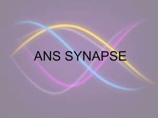 ANS SYNAPSE
 