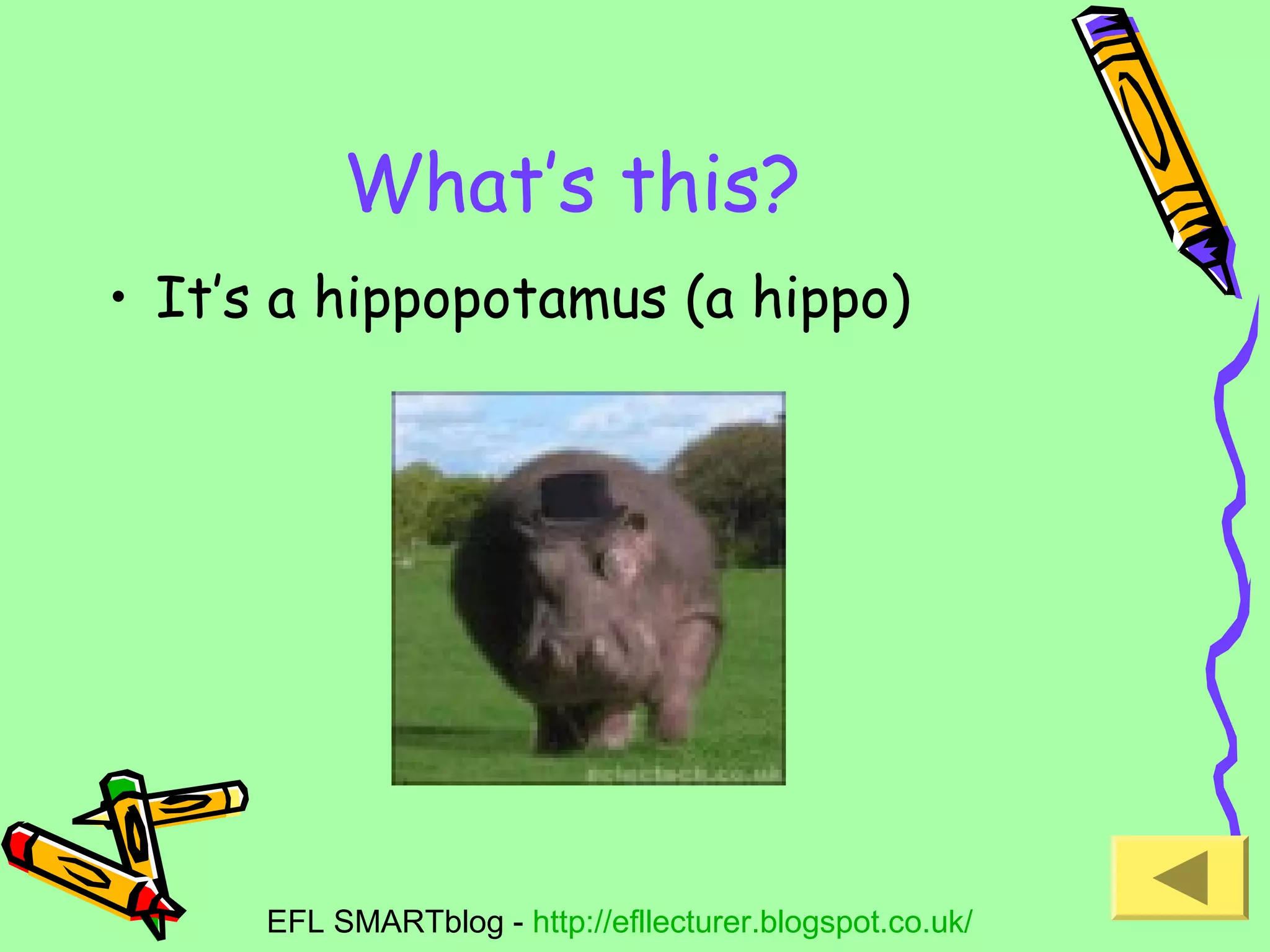 What’s this?
• It’s a hippopotamus (a hippo)

EFL SMARTblog - http://efllecturer.blogspot.co.uk/

 