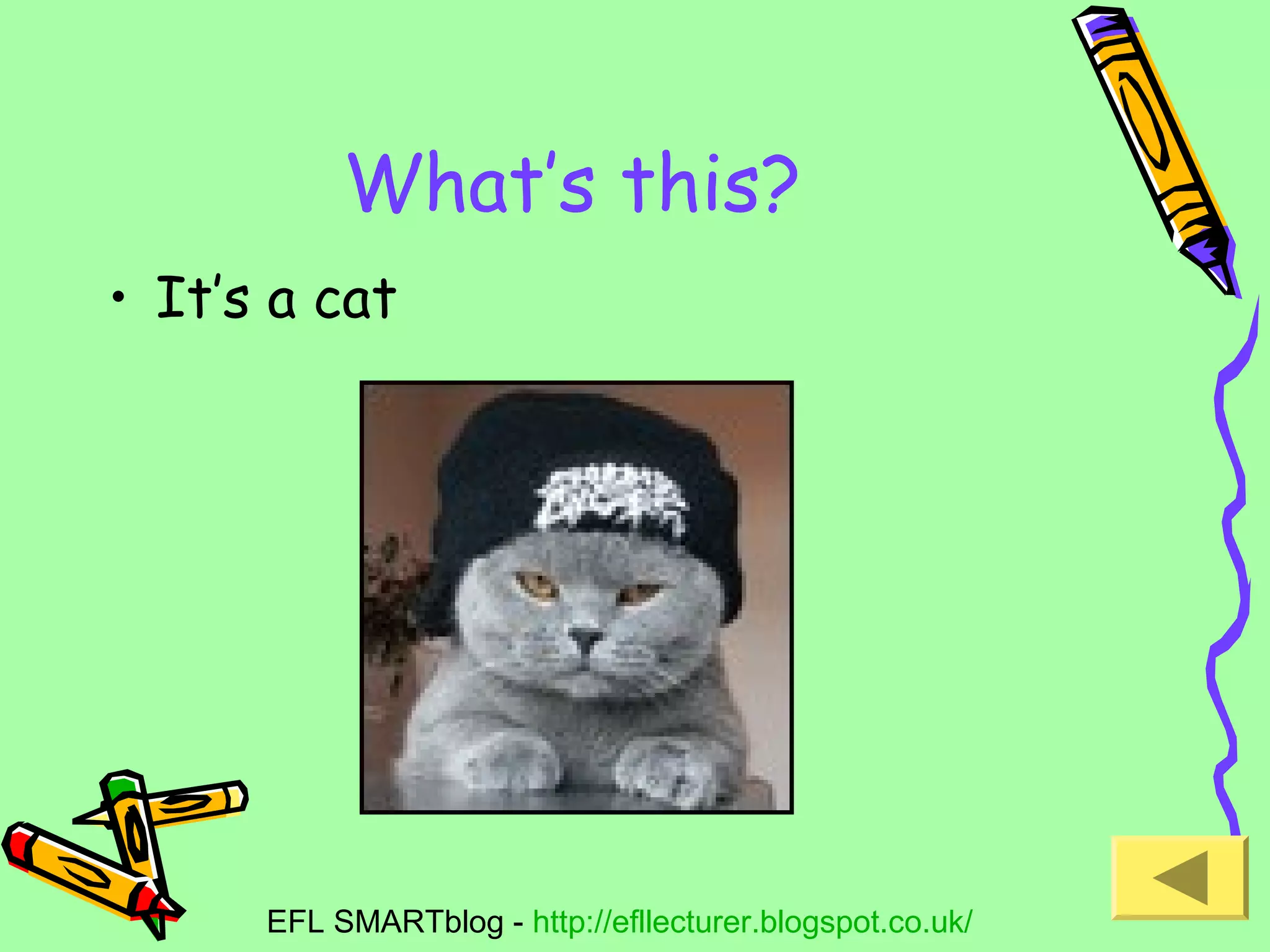 What’s this?
• It’s a cat

EFL SMARTblog - http://efllecturer.blogspot.co.uk/

 