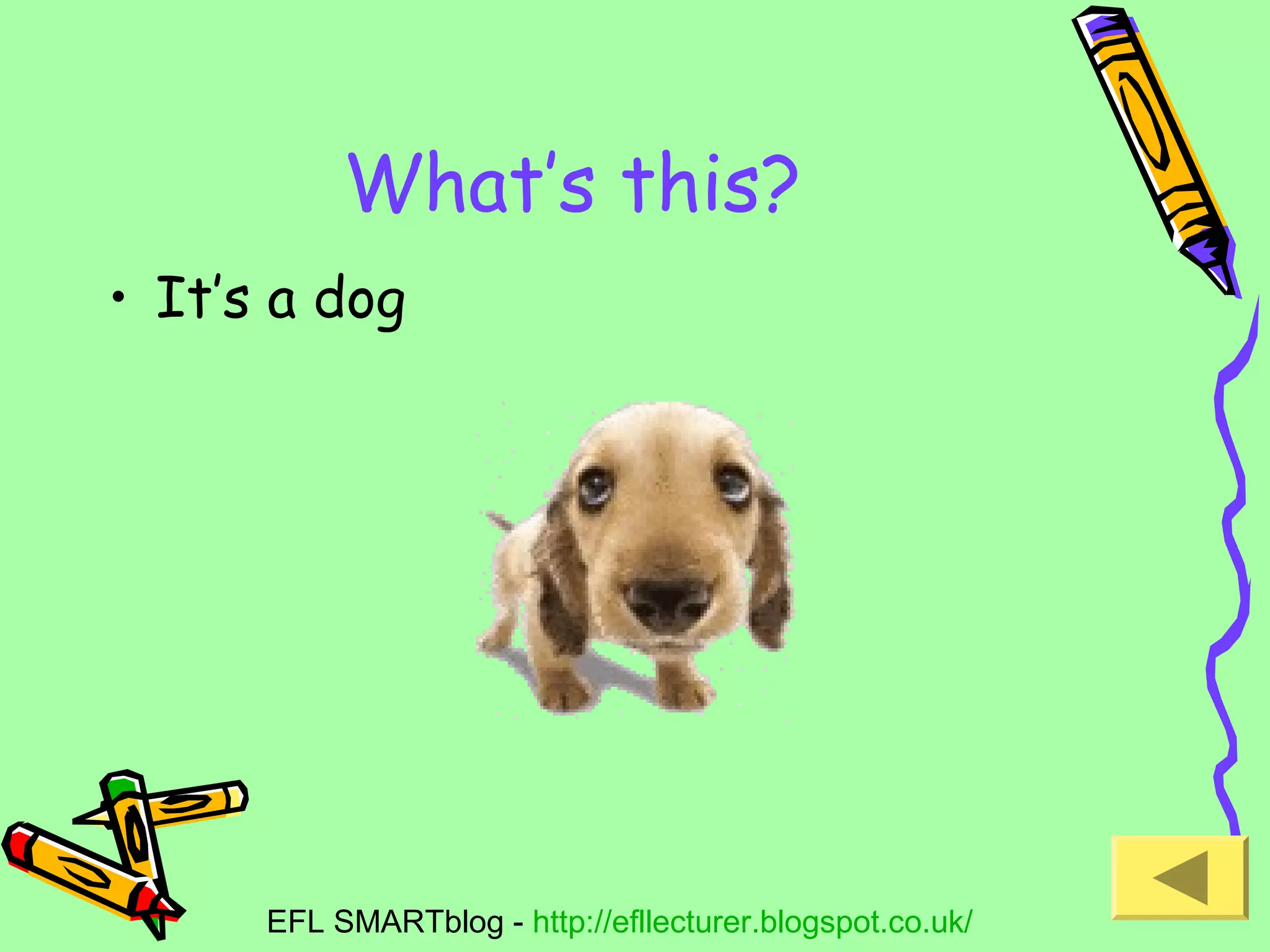 What’s this?
• It’s a dog

EFL SMARTblog - http://efllecturer.blogspot.co.uk/

 