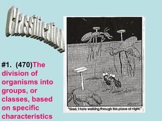 WHAT IS CLASSIFICATION SHORT ANSWER visual data 2