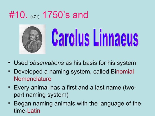 Answerclassification PPT answerclassification-ppt