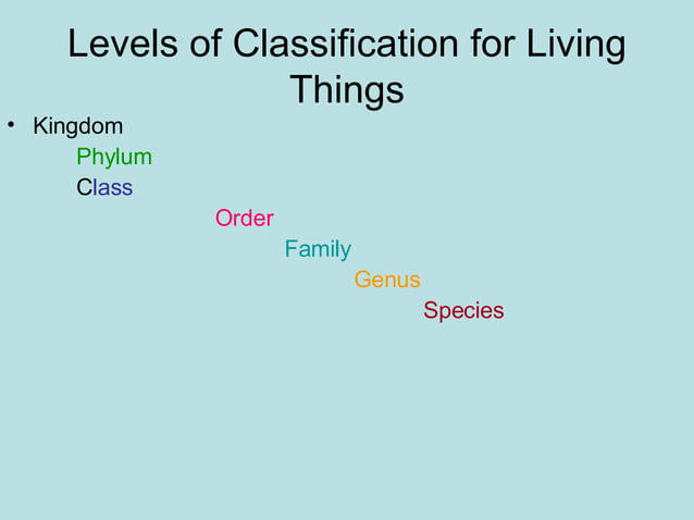 Answerclassification PPT answerclassification-ppt