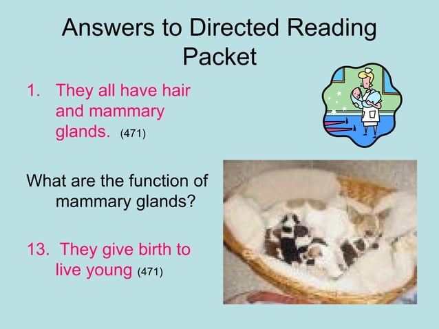 Answerclassification PPT answerclassification-ppt