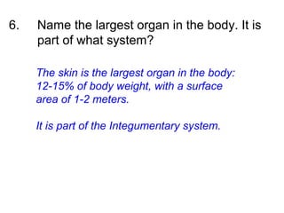 6. Name the largest organ in the body. It is
part of what system?
The skin is the largest organ in the body:
12-15% of body weight, with a surface
area of 1-2 meters.
It is part of the Integumentary system.
 