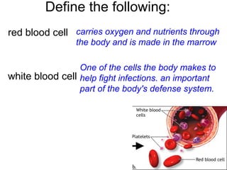 Define the following:
red blood cell
white blood cell
carries oxygen and nutrients through
the body and is made in the marrow
One of the cells the body makes to
help fight infections. an important
part of the body's defense system.
 